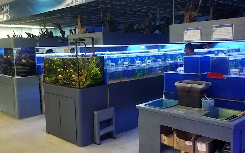 Marine Warehouse Aquarium image