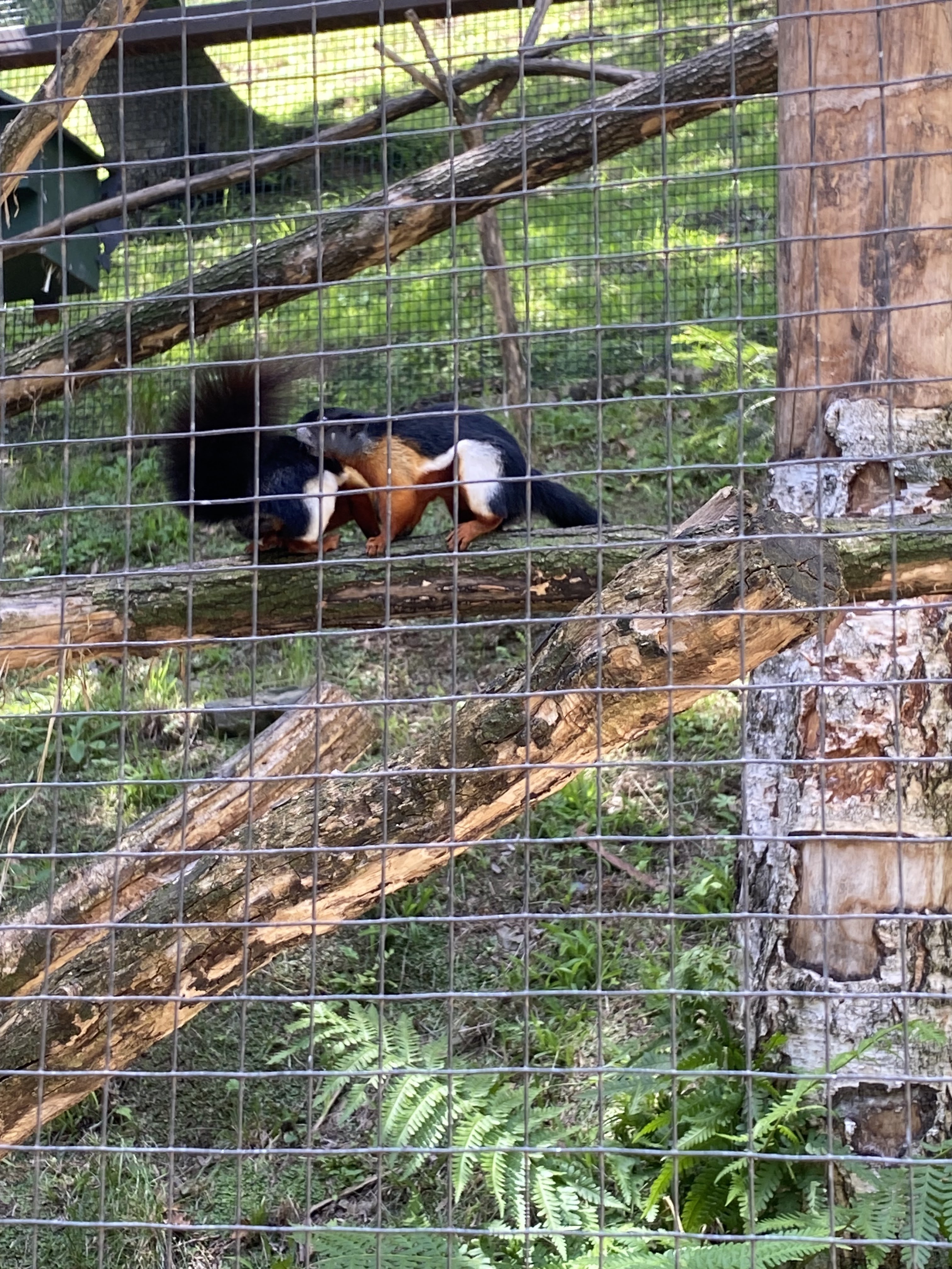 Photo n° 2 de l'avis de Nicolas.h fait le 09/08/2023 à 21:02