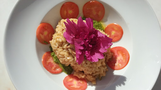 Wine Store «Brown Jug Wine Shop», reviews and photos, 1 Jarves St, Sandwich, MA 02563, USA