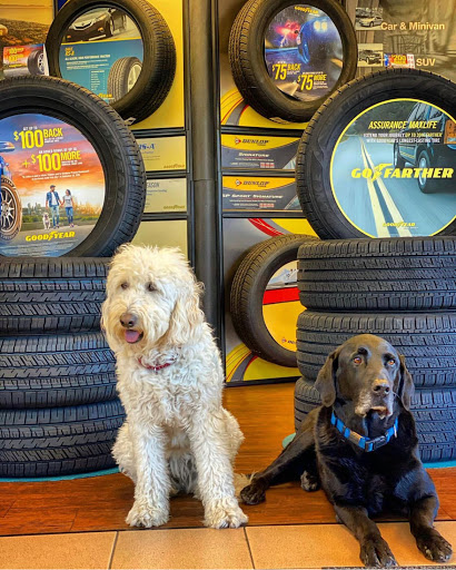 Tire Shop «QUALITY TIRE AND AUTO SERVICE», reviews and photos, 858 W Bay Ave, Barnegat, NJ 08005, USA