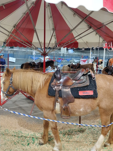 Stadium «NRG Stadium», reviews and photos, NRG Pkwy, Houston, TX 77054, USA