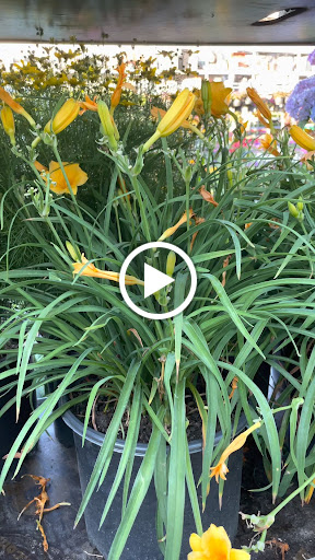 Home Improvement Store «The Home Depot», reviews and photos, 3051 E Main St, Mohegan Lake, NY 10547, USA