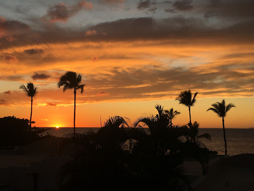 Travel Agency «Hawaiian Travel», reviews and photos, 5005 W Royal Ln #294, Irving, TX 75063, USA