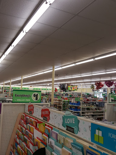 Dollar Store «Dollar Tree», reviews and photos, 8111 Steilacoom Blvd SW, Lakewood, WA 98498, USA