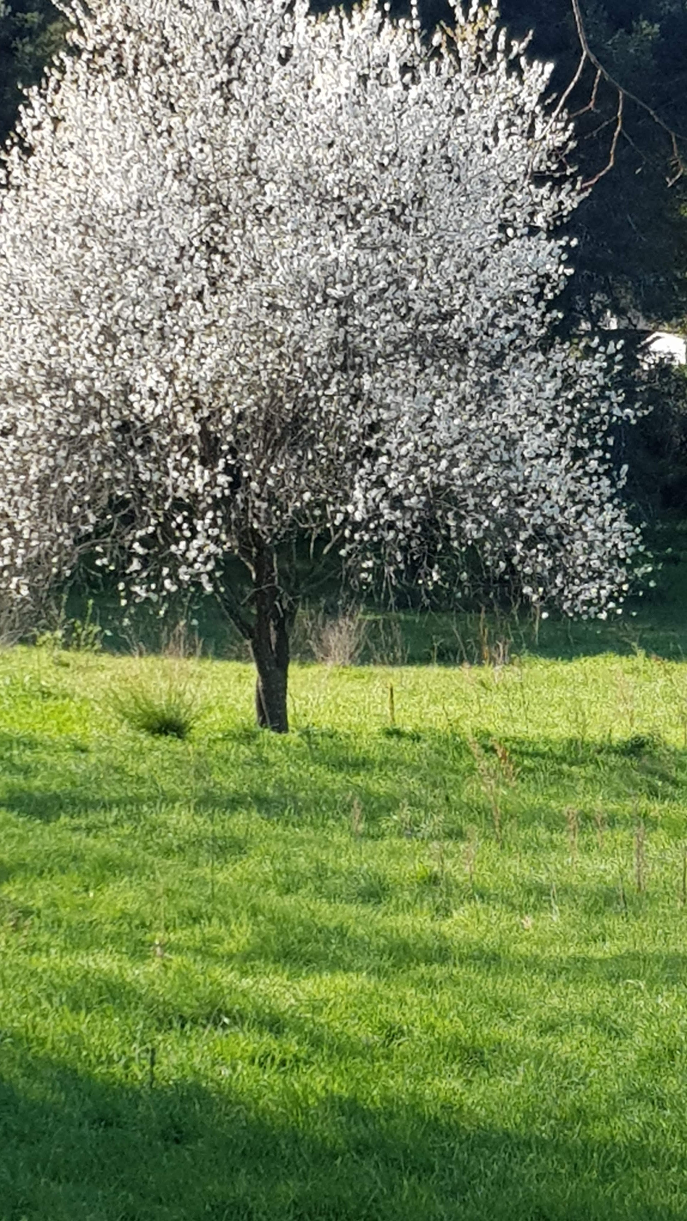 Photo n° 1 de l'avis de Luc. fait le 26/06/2022 à 17:11