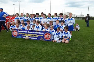 Monaghan GAA Centre Of Excellence image