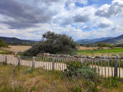 Immobilier neuf Corse à Palasca