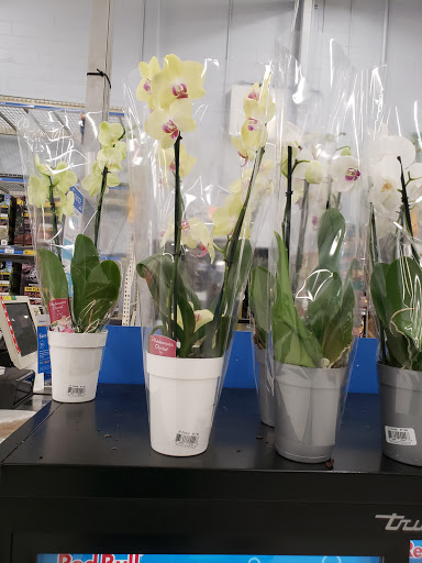 Department Store «Walmart Supercenter», reviews and photos, 1125 N Pine St, DeRidder, LA 70634, USA