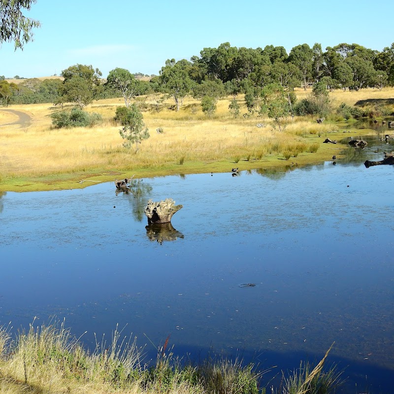 South Morang Wetlands