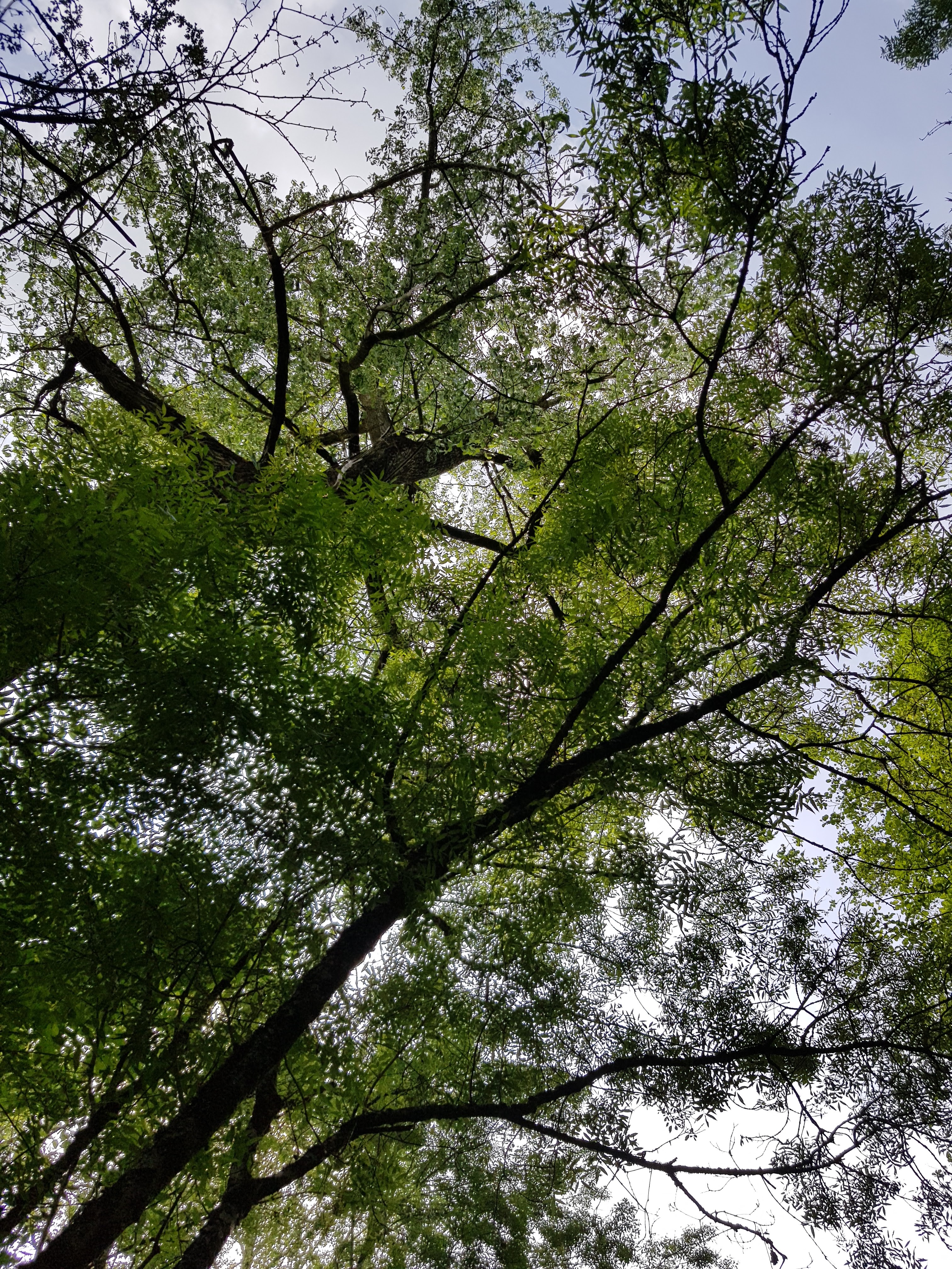 Photo n° 6 de l'avis de Valérie.o fait le 26/05/2019 à 19:26