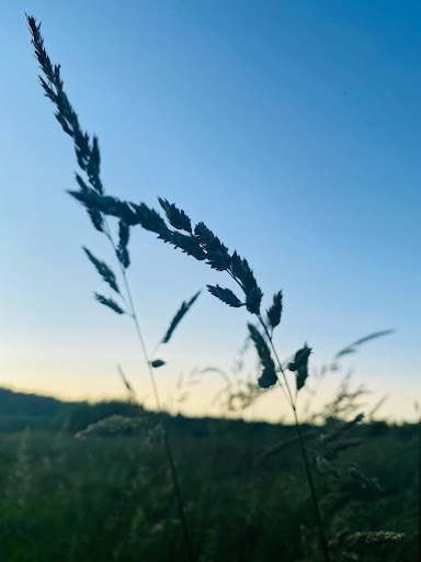 Park «N. Creek Park», reviews and photos, 1011 183rd St SE, Bothell, WA 98012, USA