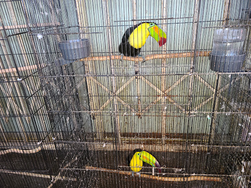 Pet Store «Pet Source 1901», reviews and photos, 1901 W 8th St B, Los Angeles, CA 90057, USA