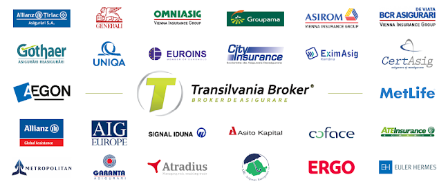 MD Asigurari - partener Transilvania Broker - Companie de Asigurari