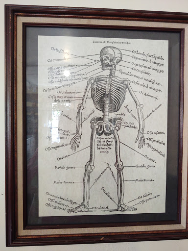 Museum «Spanish Military Hospital Museum», reviews and photos, 3 Aviles St, St Augustine, FL 32084, USA