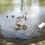 Photo n° 8 de l'avis de ceraline.o fait le 13/05/2021 à 15:39 pour Plan d'Eau de Berny à Ailly-sur-Noye