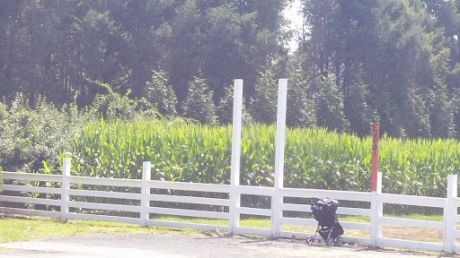 Childrens Farm «Best Long Island Pumpkin Picking», reviews and photos, 250 Old Country Rd, Melville, NY 11747, USA