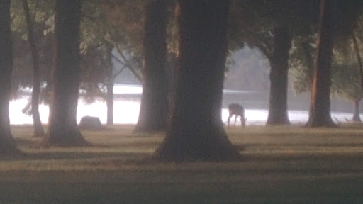 Campground «Defeated Creek Campground», reviews and photos, 140 Marina Ln, Defeated, TN 37030, USA