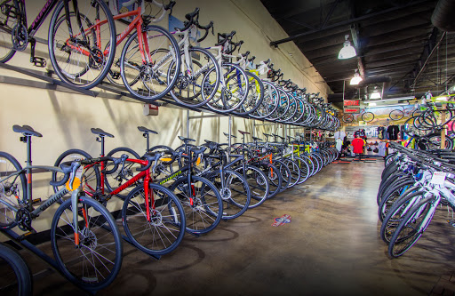 Bicycle Store «Global Bikes - Chandler North», reviews and photos, 2915 W Ray Rd, Chandler, AZ 85224, USA