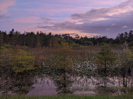 Park «Eagle Nest Park», reviews and photos, 5165 Metrowest Blvd, Orlando, FL 32811, USA