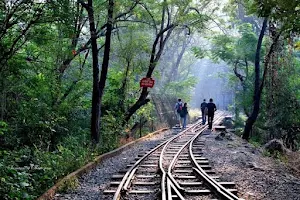 Sanjay Gandhi National Park image