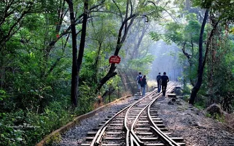 Sanjay Gandhi National Park image