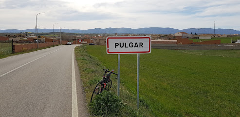 PULGAR