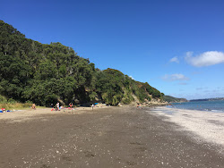 Φωτογραφία του Kaitarakihi Beach με επίπεδο καθαριότητας πολύ καθαρό