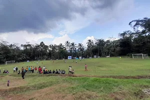 Lapang Sepak Bola Desa Cigintung (Gelora Madyantara) image
