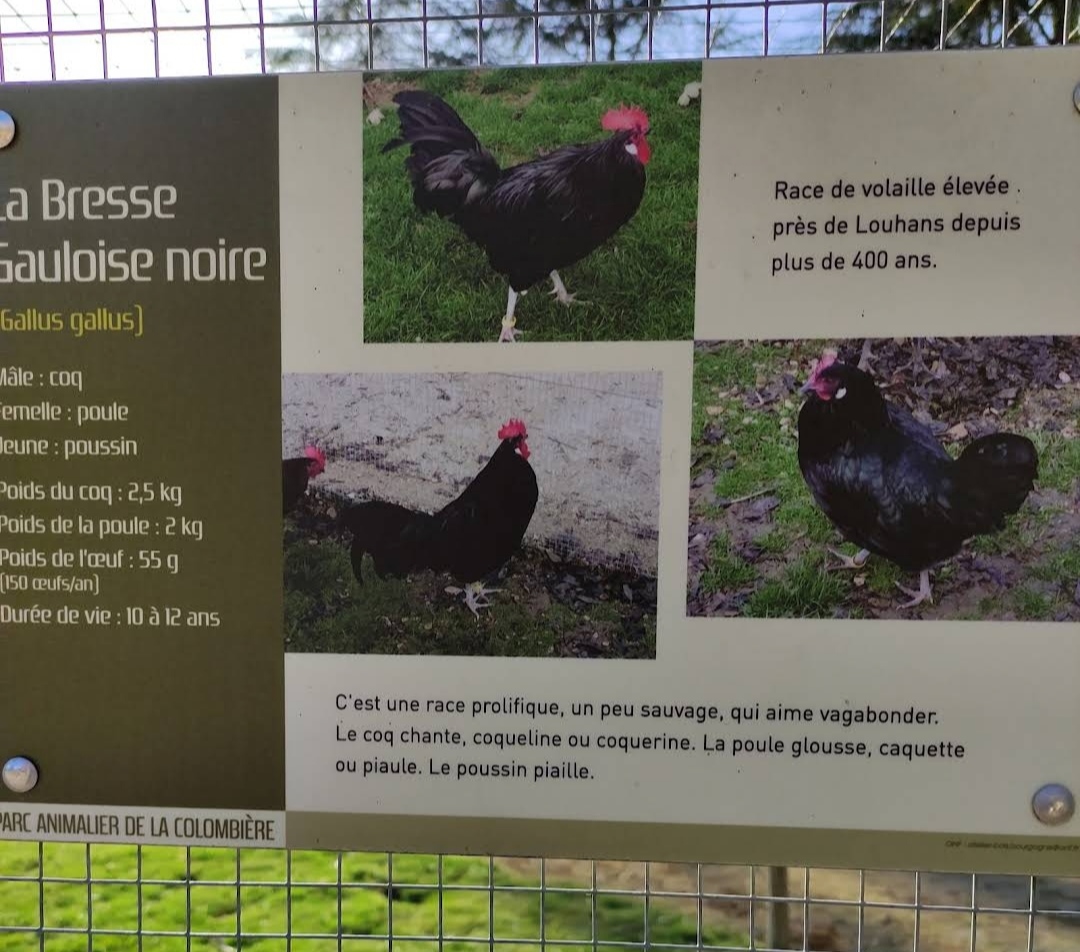 Photo n° 7 de l'avis de M-Jeanne. fait le 26/04/2023 à 22:08