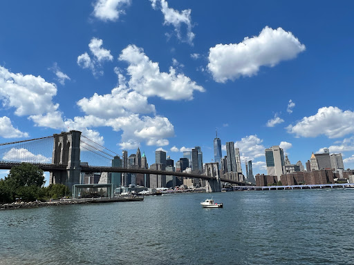 Photo of Brooklyn Bridge Park Dog Run