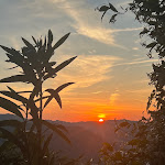 Photo n°1 de l'avis de Luca.i fait le 09/06/2023 à 15:24 sur le  Antica Hostaria Rocca Di Badolo à Badolo