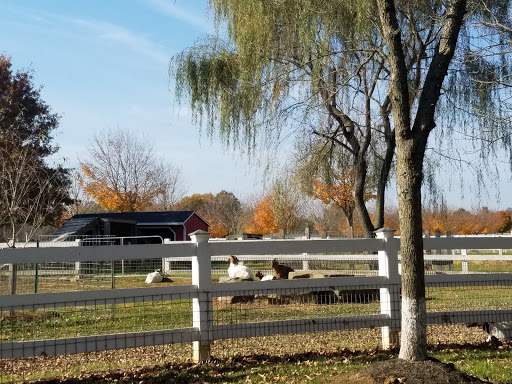 Dinner Theater «Hunterdon Hills Playhouse», reviews and photos, 88 NJ-173, Hampton, NJ 08827, USA