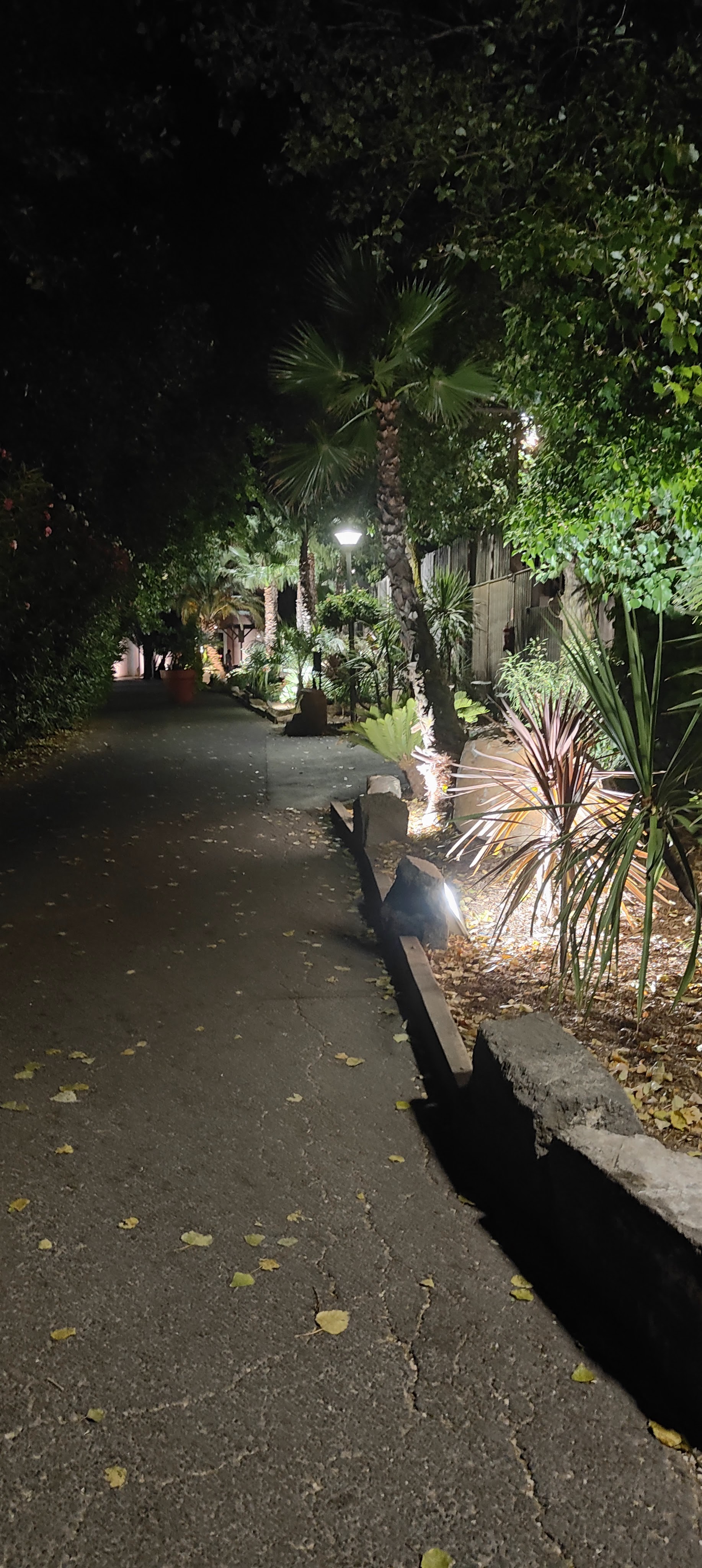 Photo n° 4 de l'avis de Jean-Marc.l fait le 15/08/2022 à 23:23