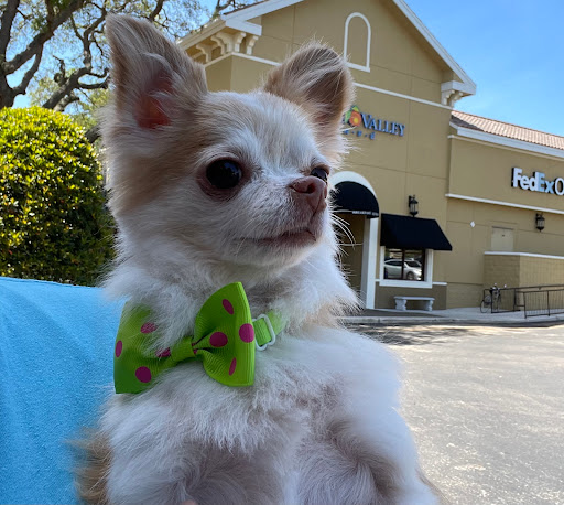 Pet Supply Store «Woof Gang Bakery & Grooming Lake Mary», reviews and photos, 1210 International Pkwy #118, Lake Mary, FL 32746, USA