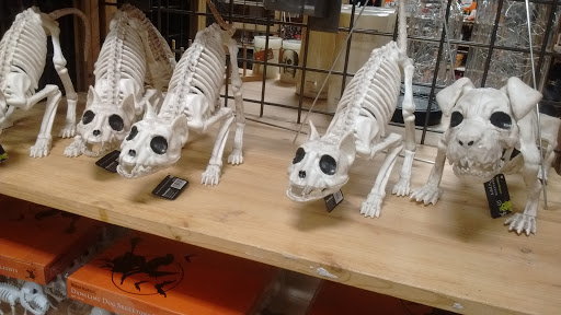 Furniture Store «Cost Plus World Market», reviews and photos, 1565 Golden Gate Plaza, Mayfield Heights, OH 44124, USA