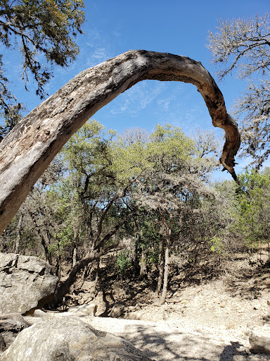 Park «O. P. Schnabel Park», reviews and photos, 9606 Bandera Rd, San Antonio, TX 78250, USA