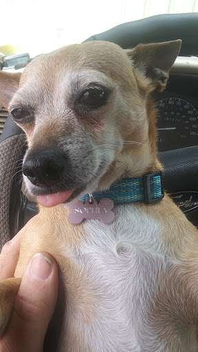 Pet Supply Store «Mini Pet Mart», reviews and photos, 2630 US-101, Florence, OR 97439, USA