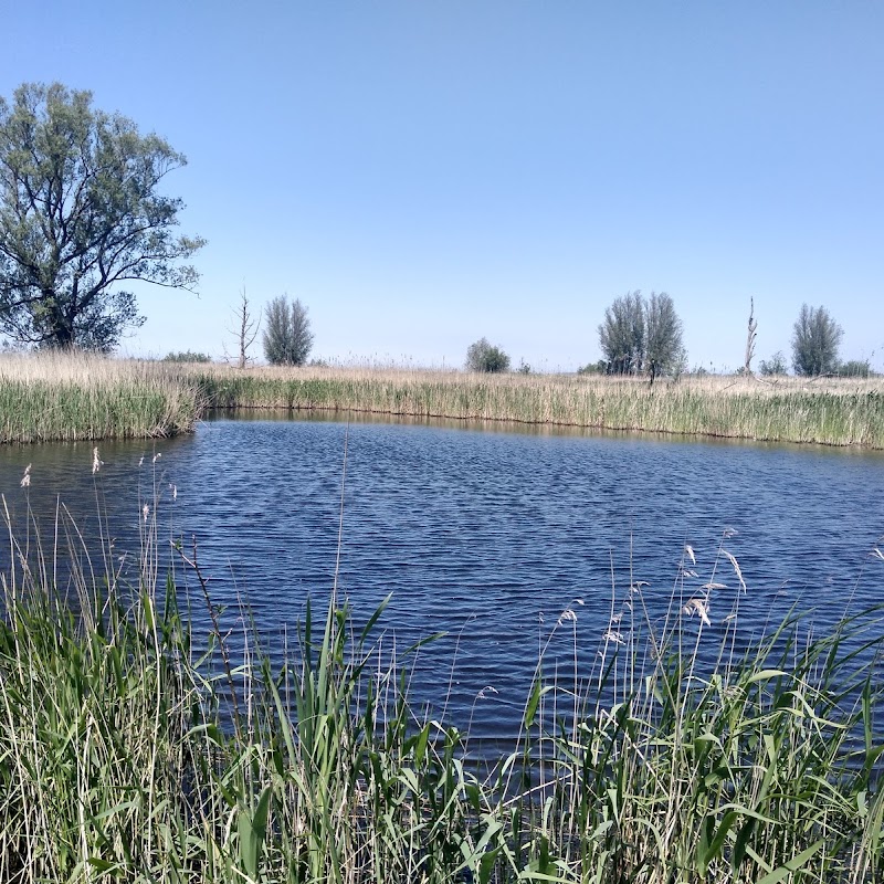 Oostvaardersplassen