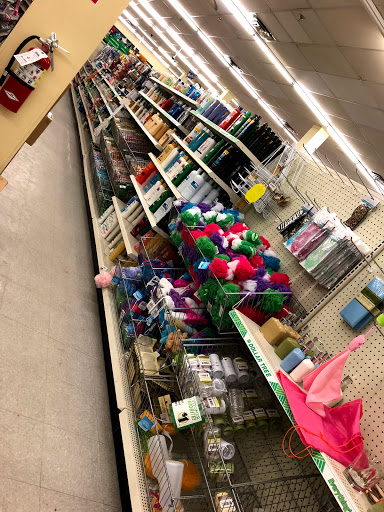 Dollar Store «Dollar Tree», reviews and photos, 622 Somerville Ave, Somerville, MA 02143, USA