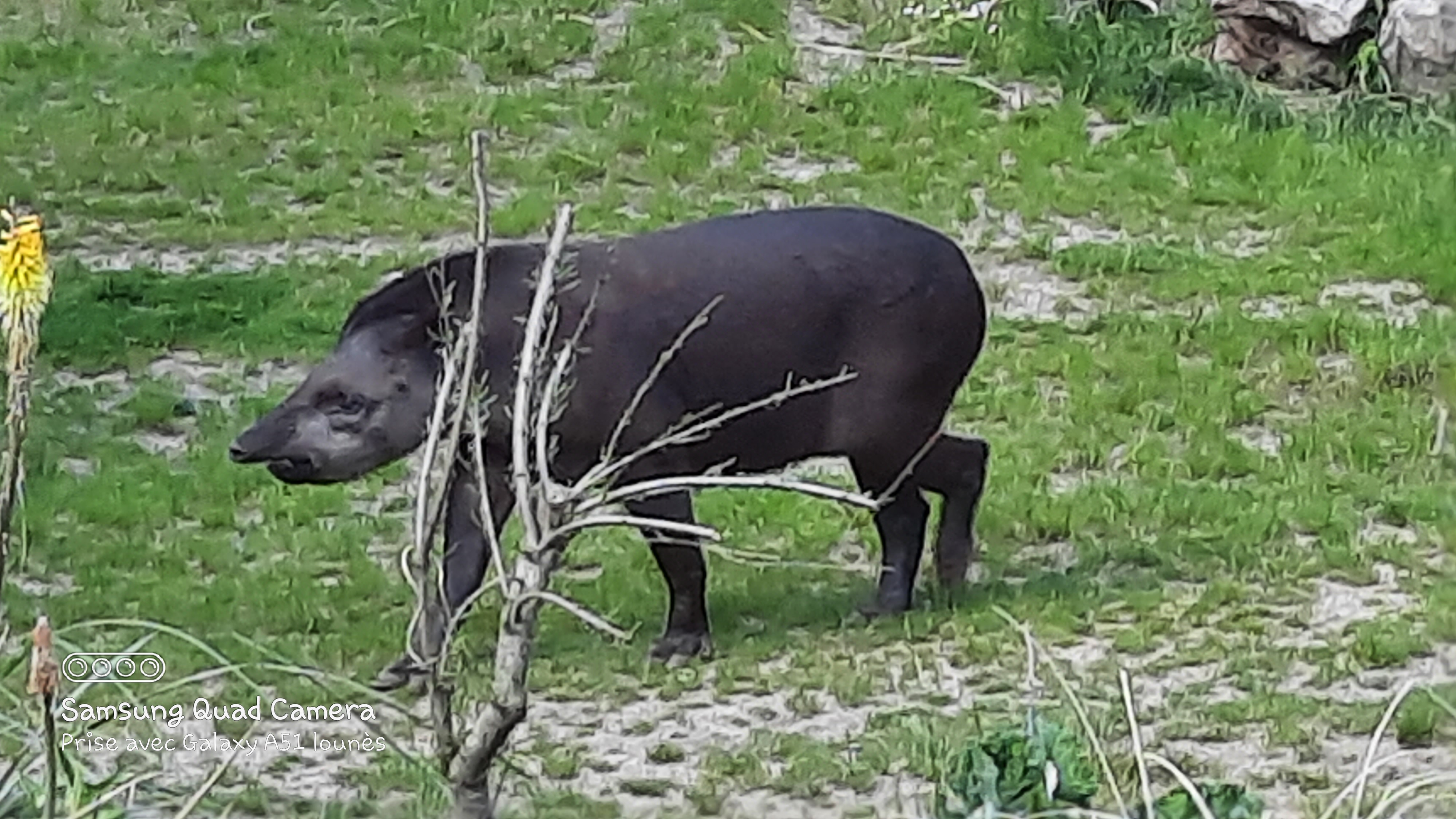 Photo n° 18 de l'avis de Lounes. fait le 02/06/2021 à 21:26