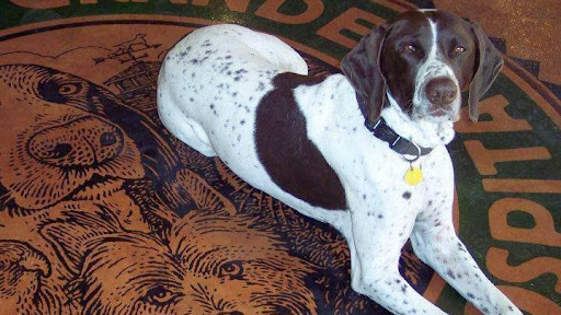 1199 E Grand Ave, Arroyo Grande, CA 93420, USA