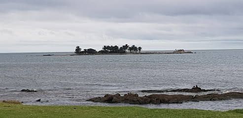 Isla de las Gaviotas