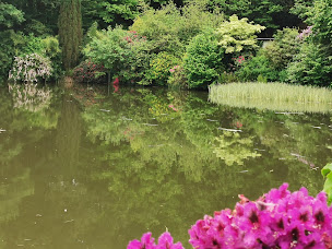 Photo n°8 de Saint Morat Pisciculture à Thouron ()
