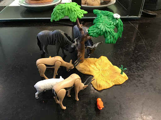 Coffee Shop «Comet Coffee», reviews and photos, 16 Nickels Arcade, Ann Arbor, MI 48104, USA