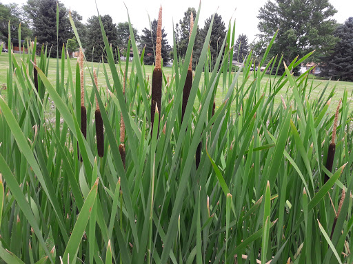 Golf Course «Harvard Gulch Golf Course», reviews and photos, 660 E Iliff Ave, Denver, CO 80210, USA