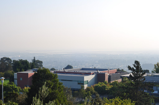 California State University, East Bay image