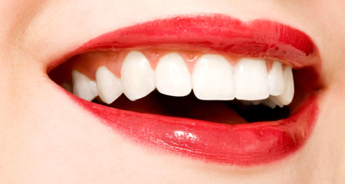 Myteeth Total Denture Care - Auckland