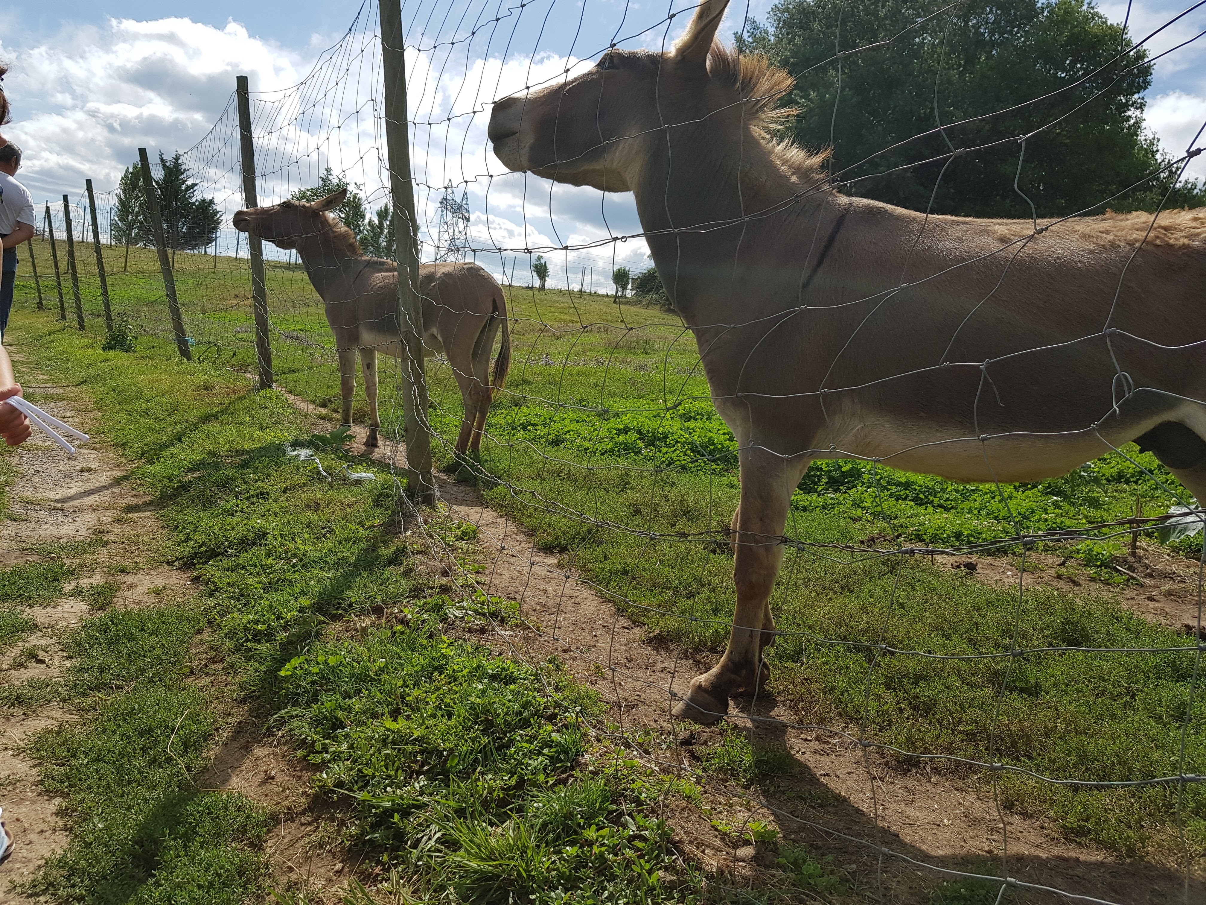 Photo n° 7 de l'avis de Gribs. fait le 13/08/2017 à 17:24