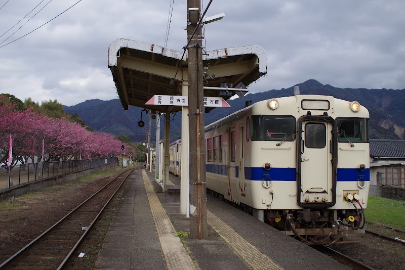 北郷駅の日南寒咲1号