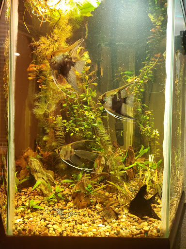 Pet Supply Store «Petco Animal Supplies», reviews and photos, 12163 Sheridan Blvd, Broomfield, CO 80020, USA